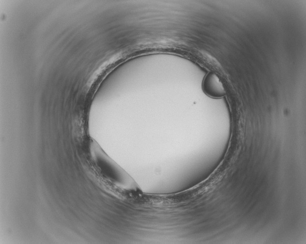 X0000052551218200507291907