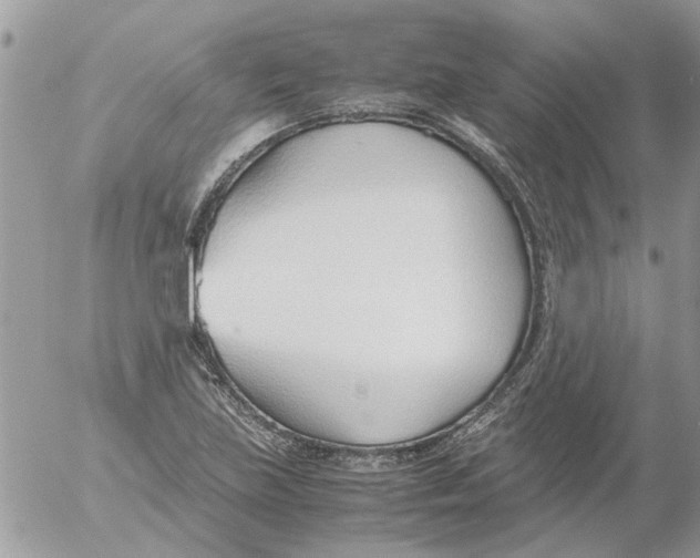 X0000052551219200507291907