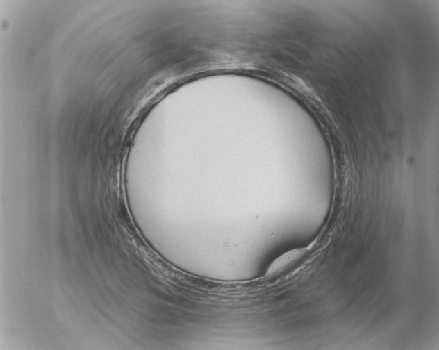 X0000052551220200507291907