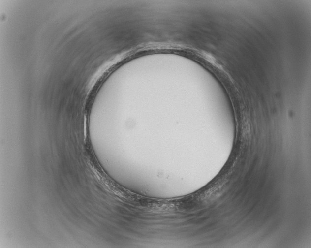 X0000052551221200507291907