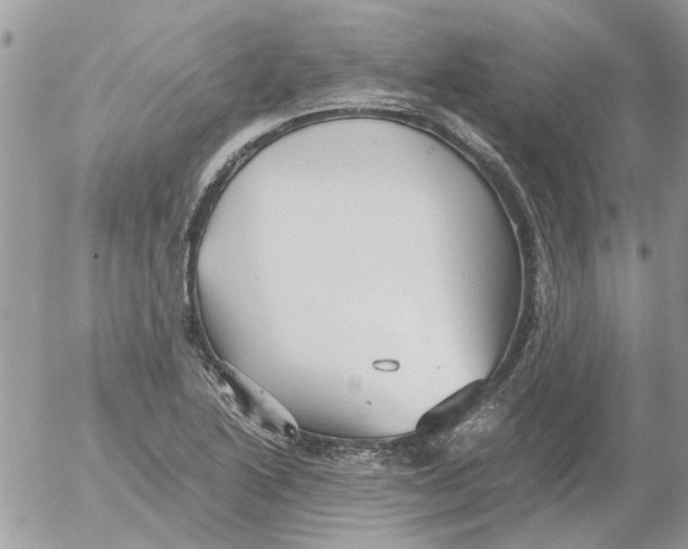 X0000052551222200507291907