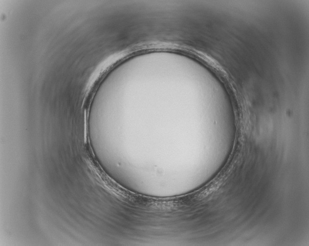 X0000052551223200507291907