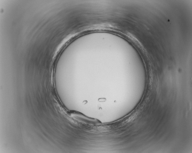 X0000052551224200507291907