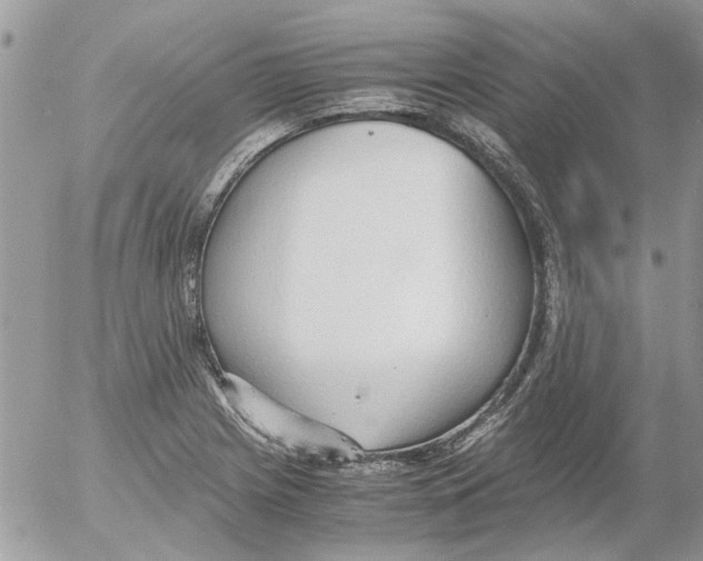 X0000052551225200507291907