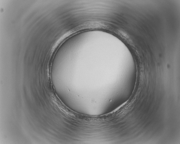 X0000052551226200507291907