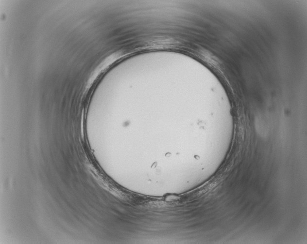 X0000052551227200507291907