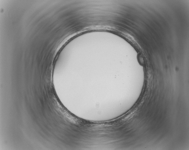 X0000052551228200507291907