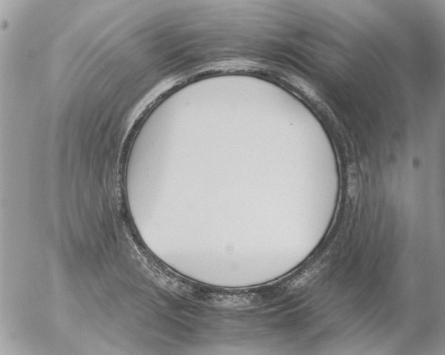 X0000052551229200507291907