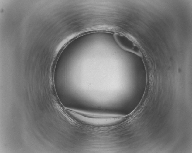 X0000052551230200507291907