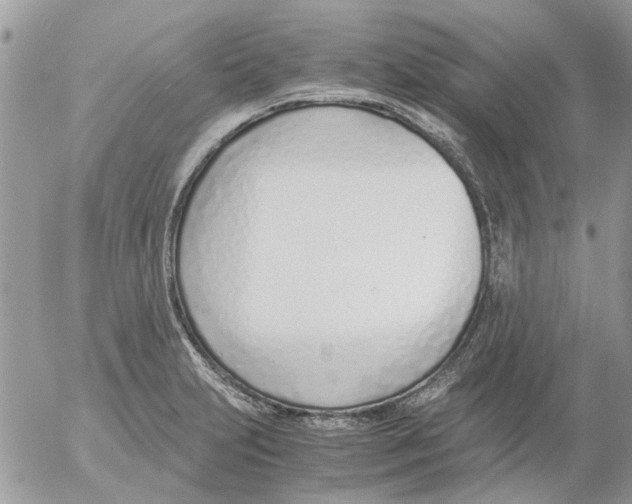 X0000052551231200507291907