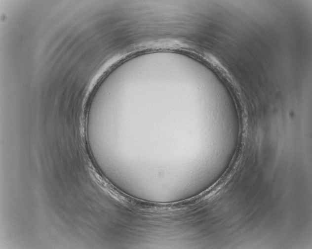 X0000052551232200507291907