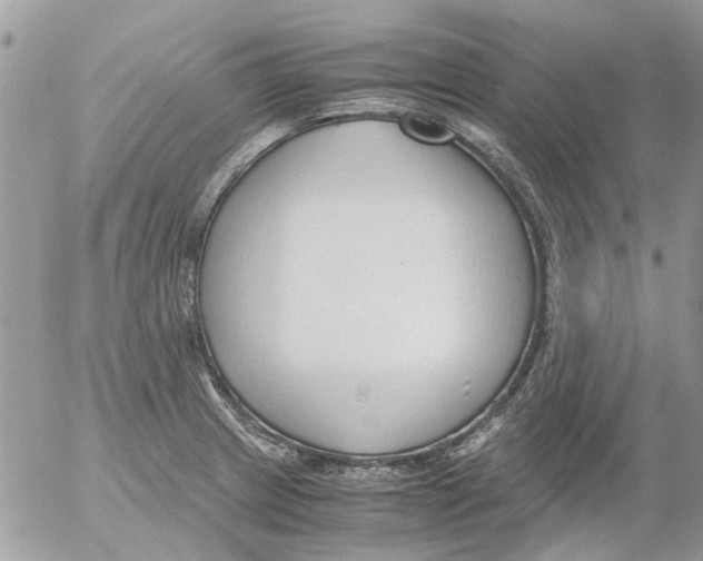 X0000052551233200507291907