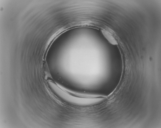 X0000052551234200507291907