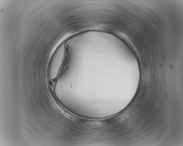 X0000052551235200507291907