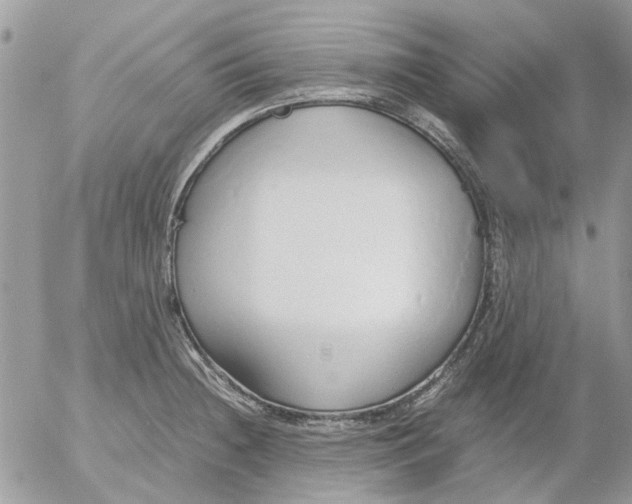 X0000052551236200507291907