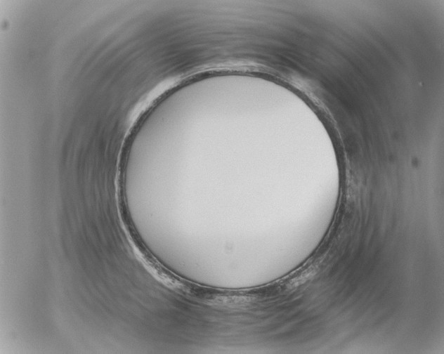 X0000052551237200507291907