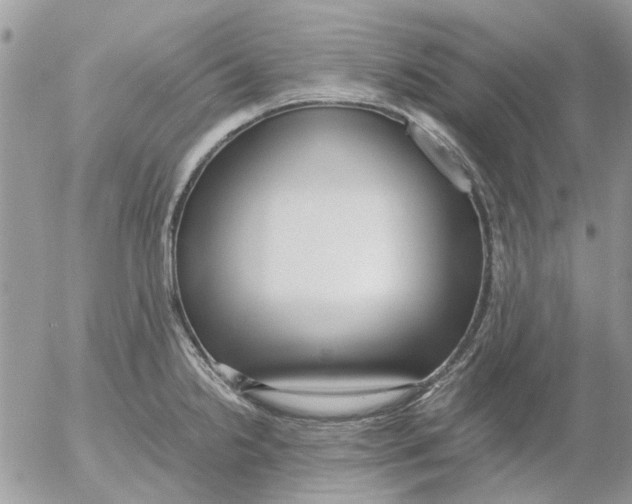 X0000052551238200507291907