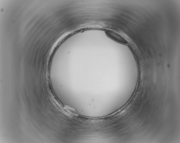 X0000052551240200507291907