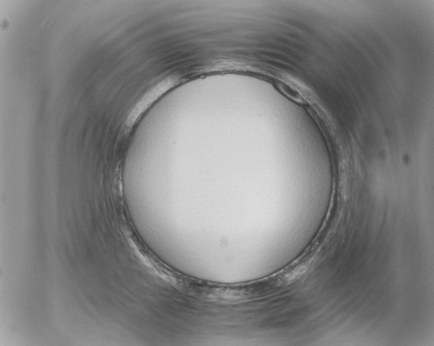 X0000052551241200507291907