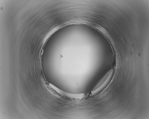 X0000052551242200507291907