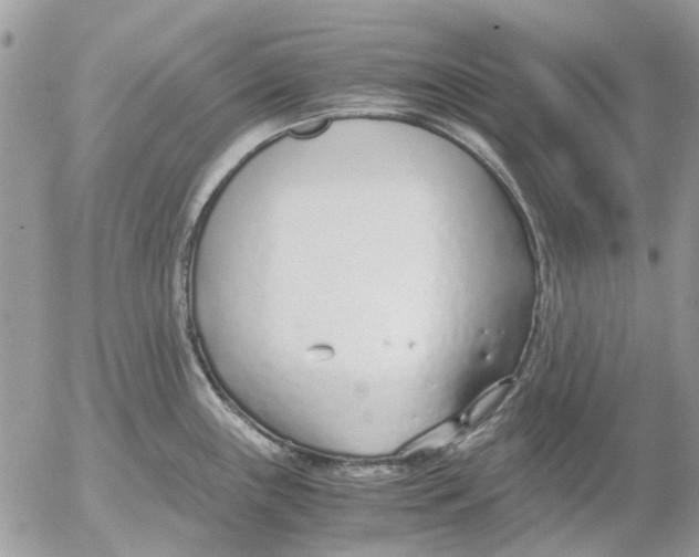 X0000052551243200507291907