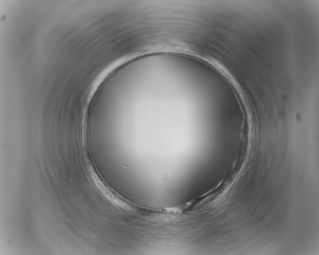 X0000052551246200507291908