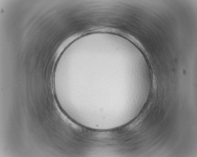 X0000052551247200507291908