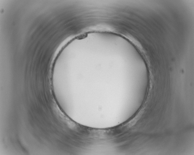 X0000052551248200507291908