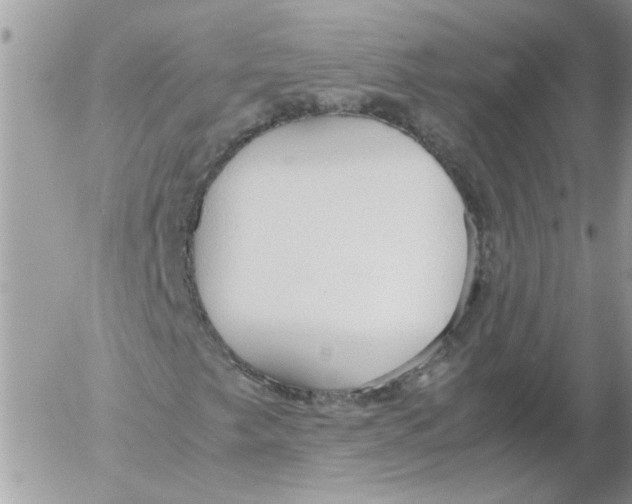 X0000052551249200507291907