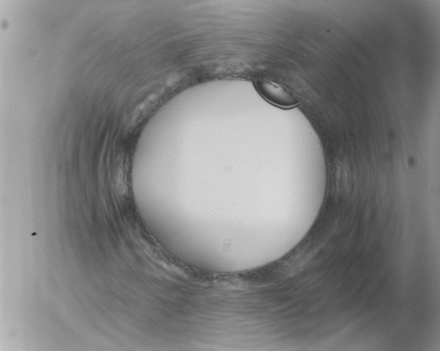 X0000052551250200507291907