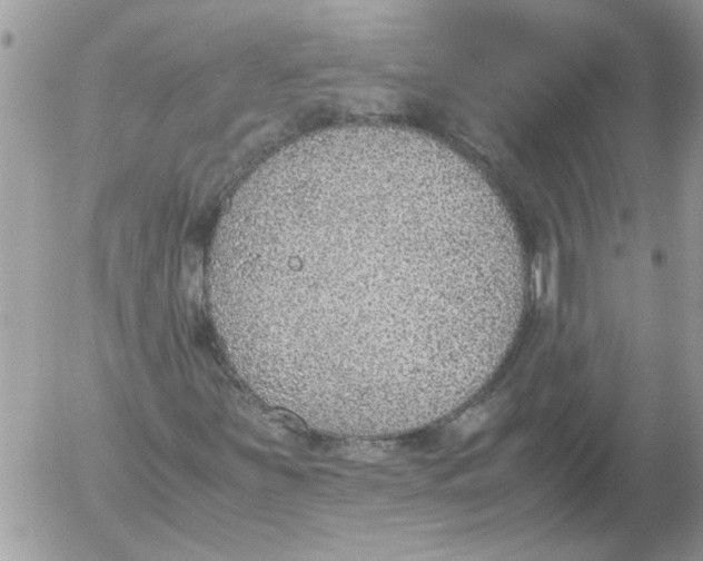 X0000052551251200507291907