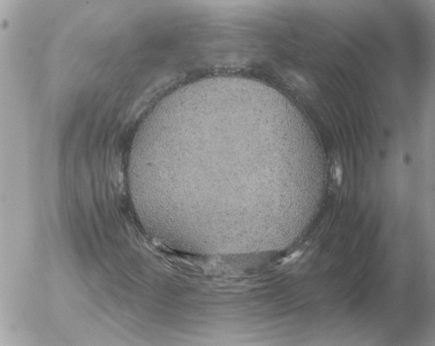 X0000052551252200507291907