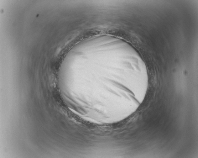 X0000052551253200507291907