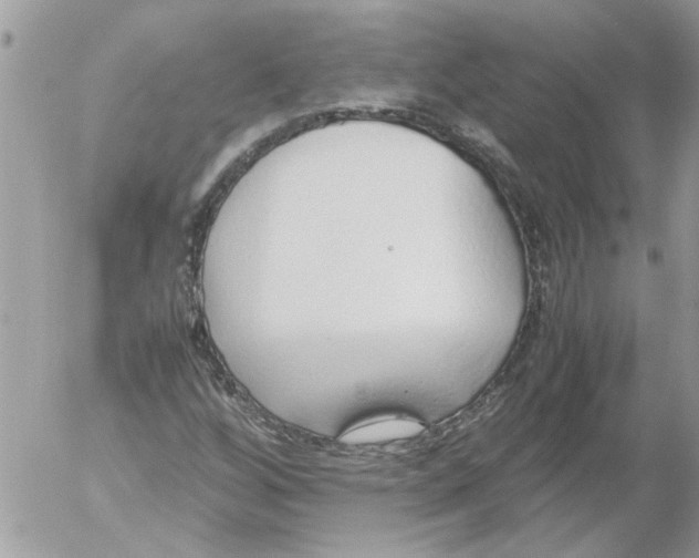 X0000052551256200507291907