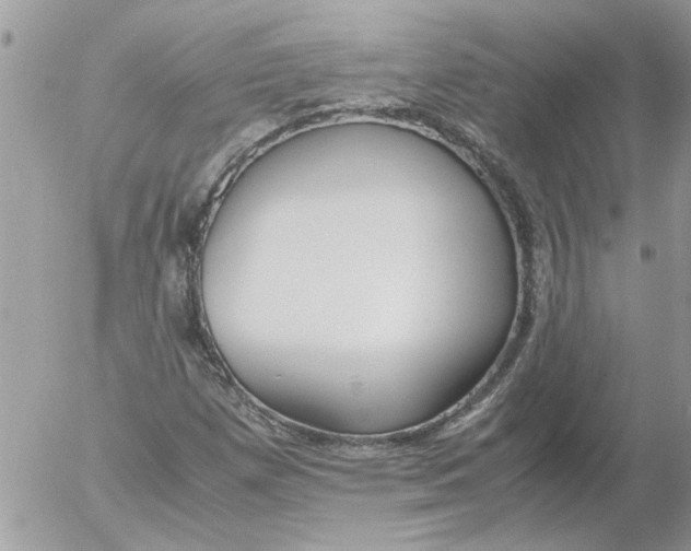 X0000052551257200507291907