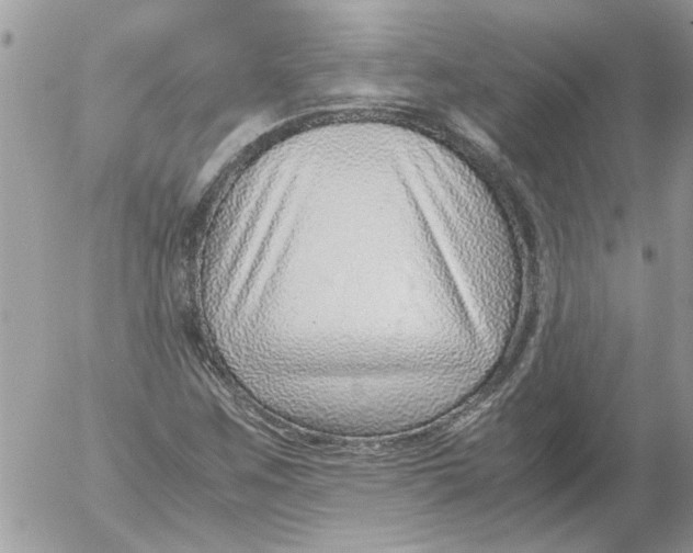 X0000052551259200507291907