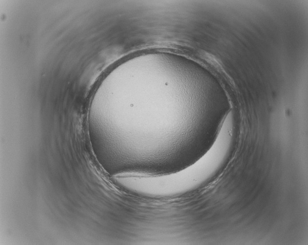 X0000052551260200507291907