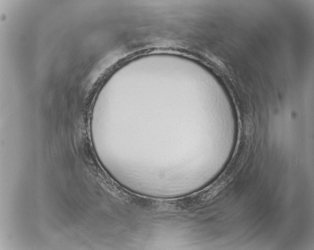 X0000052551263200507291907