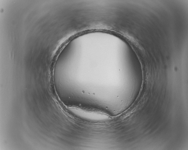 X0000052551264200507291907