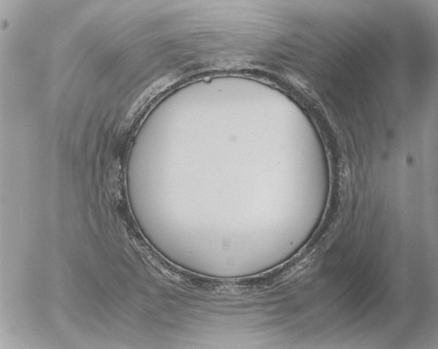 X0000052551265200507291907