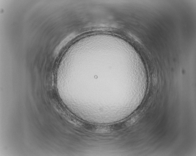 X0000052551267200507291906