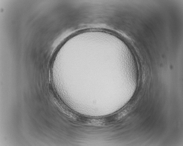 X0000052551271200507291906