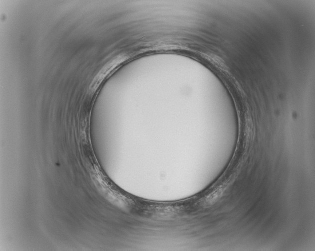 X0000052551273200507291906