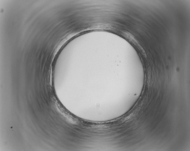 X0000052551276200507291906