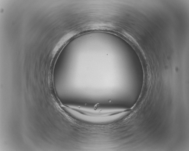 X0000052551277200507291906