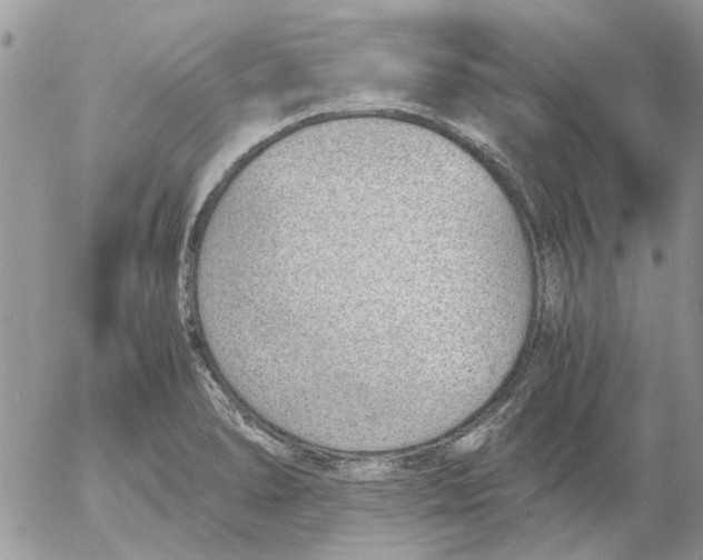 X0000052551278200507291906