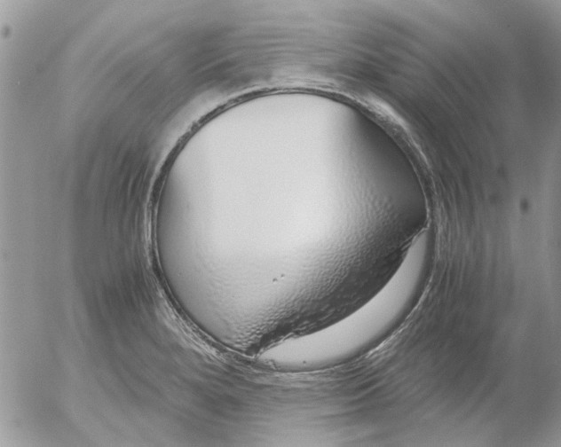 X0000052551280200507291906