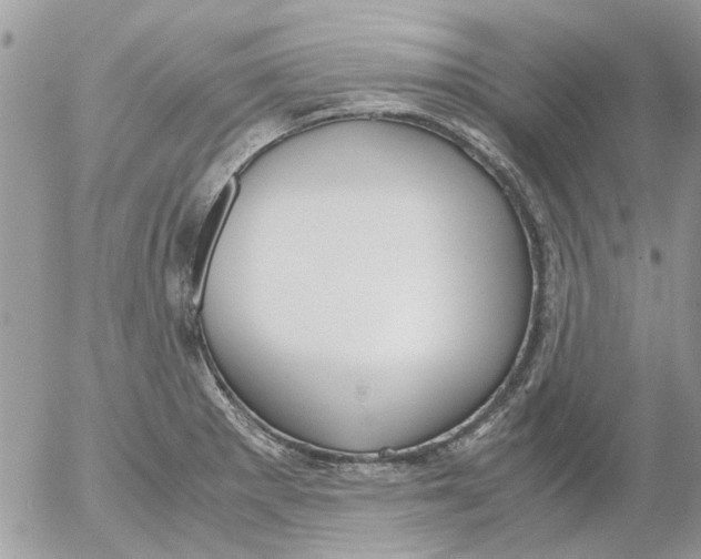 X0000052551281200507291906