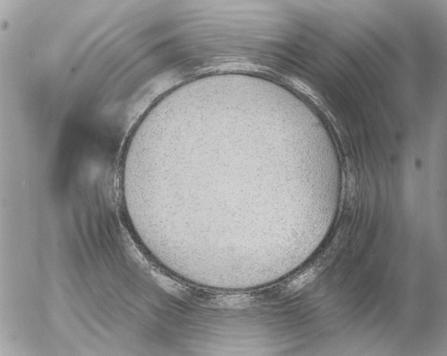 X0000052551282200507291906