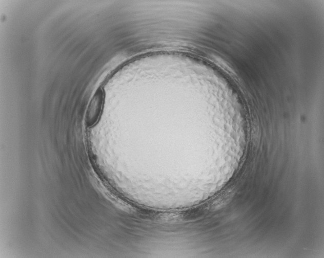 X0000052551283200507291906